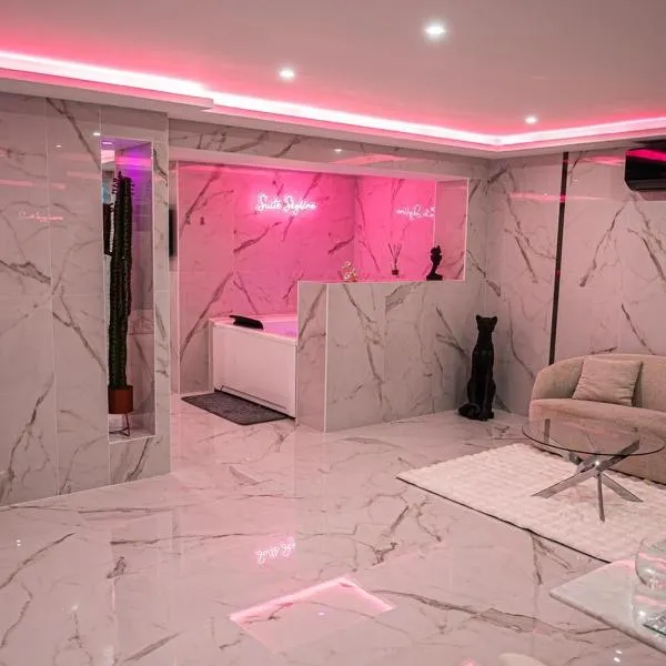 Beautiful Skyline Suite 30 minutes from Paris!，位于蓬图瓦兹的酒店