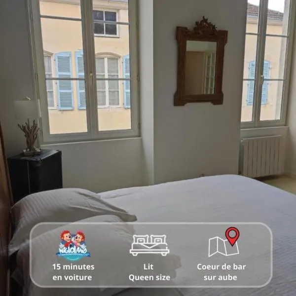 Appartement plein de charme - Centre Bar-Sur-Aube，位于奥布河畔巴尔的酒店