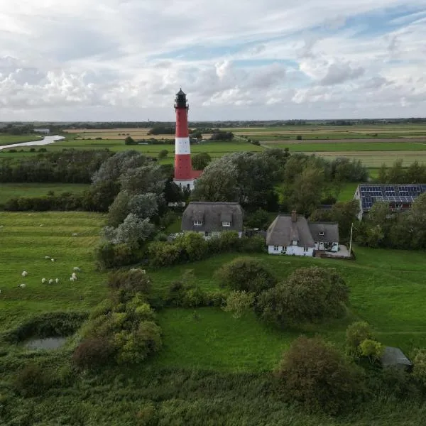 Haus am Leuchtturm ,,Austernfischer Haus "，位于佩尔沃姆的酒店