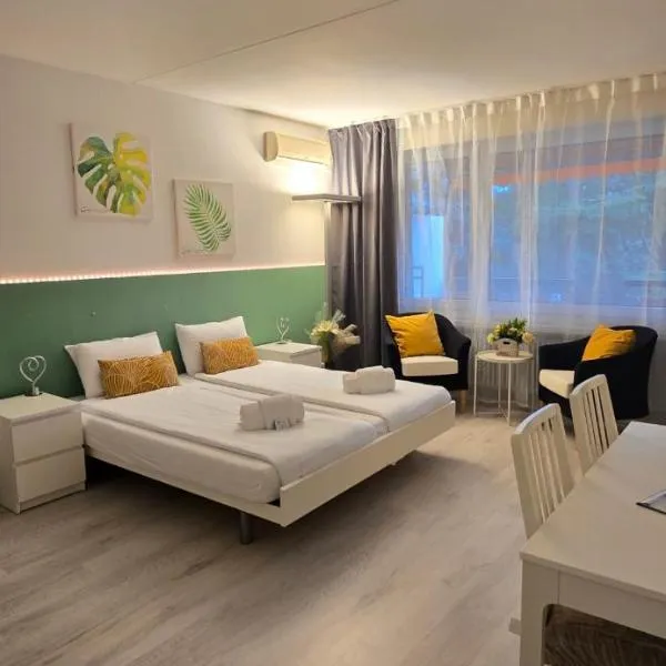 Residenza Lago di Lugano，位于比索内的酒店