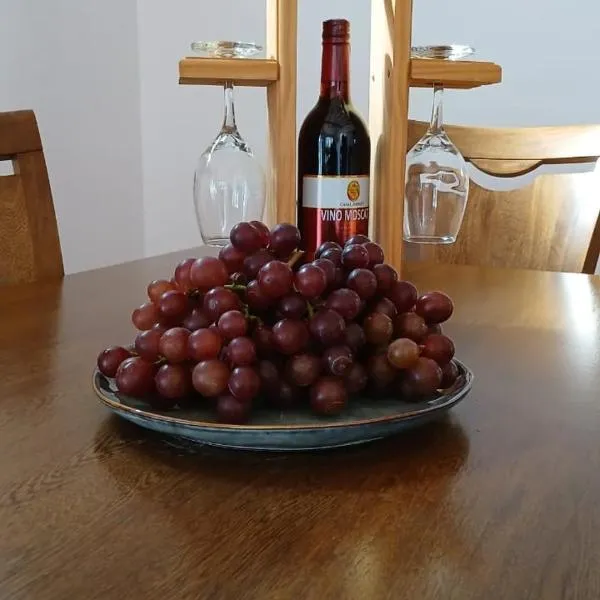 Casa Fabiana，位于La Unión的酒店