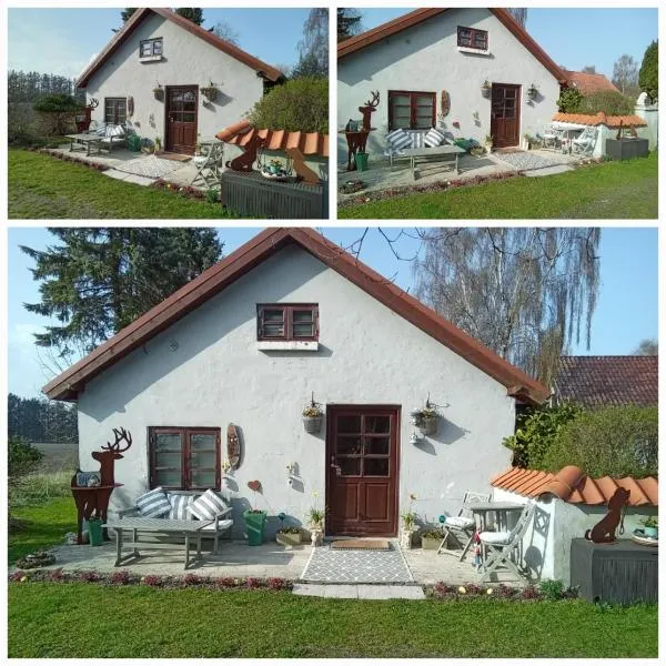 KRAGKAER Deer-Lodge B&B A unique holiday home，位于赛比的酒店