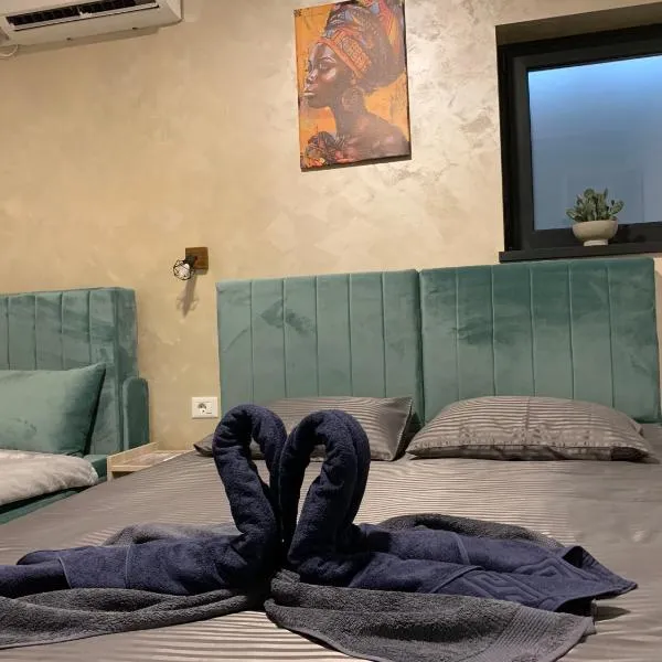 Neversea house，位于康斯坦察的酒店