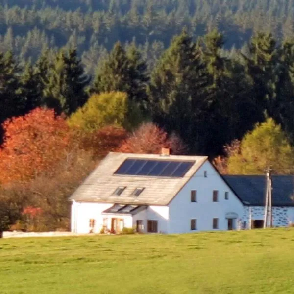 Retreat in the Bohemian Forest，位于Schöneben的酒店