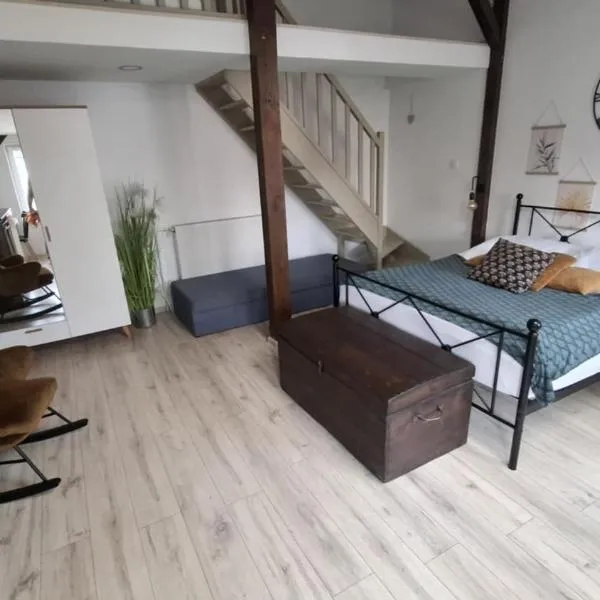 Attic Room Ełk，位于厄尔科的酒店