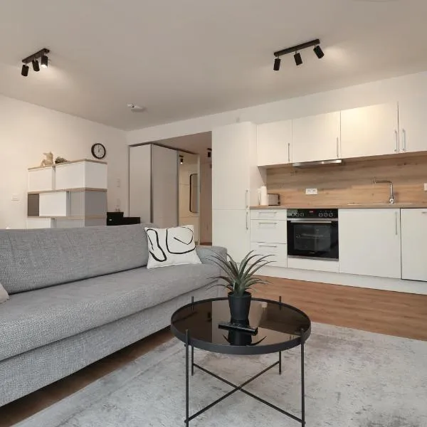 helloYOU Apartments，位于莱茵河畔因格尔海姆的酒店