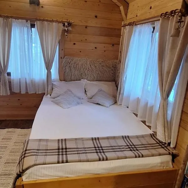 Cabana Plaiul Bucovinei，位于坎普朗莫道尼斯的酒店