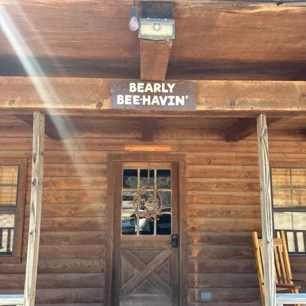 HoneyComb Hideouts Bearly BeeHavin cabin，位于康肯的酒店