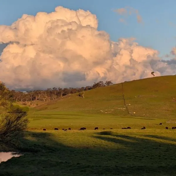 OLDGREENWELLS B&B，位于Walcha的酒店