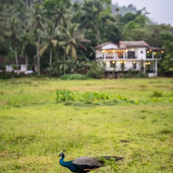 Wildlife Kingdom - Deniyaya Sinharaja，位于代尼耶耶的酒店
