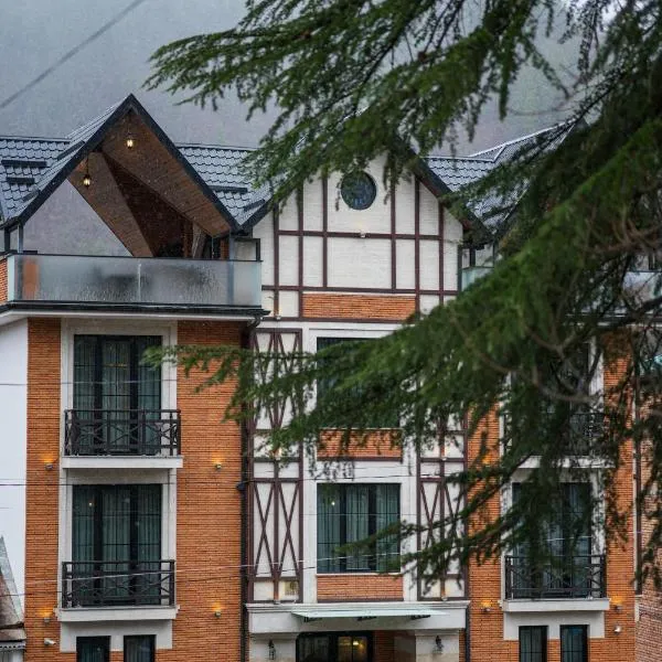 1 Hotel Borjomi，位于博尔若米的酒店