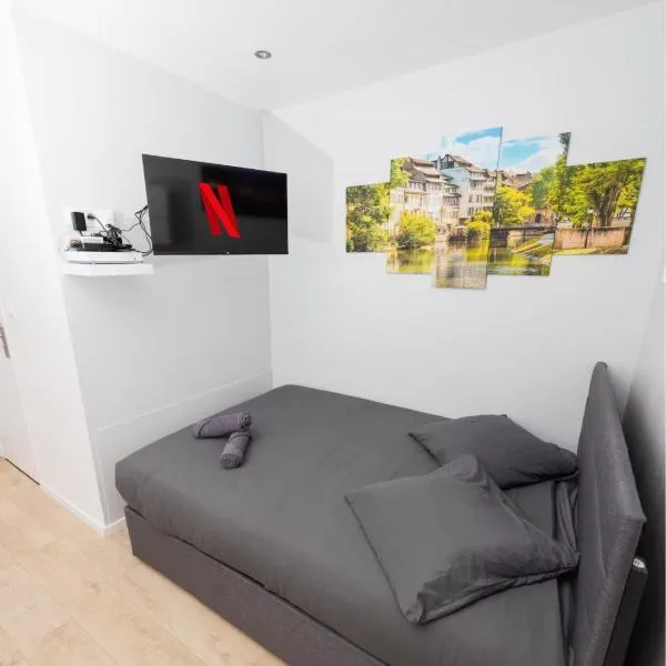 Le Petit Break - Strasbourg Gare - Petite France - Commerces à Proximité，位于斯特拉斯堡的酒店