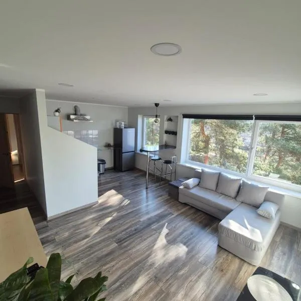Friendly Apartment，位于瓦尔米耶拉的酒店