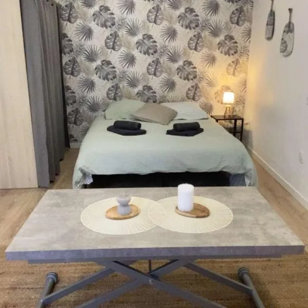 Studio Cosy - proche du centre ville，位于甘冈的酒店