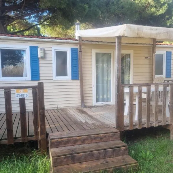 camping la palmeraie chez caro et gui，位于托尔雷莱的酒店