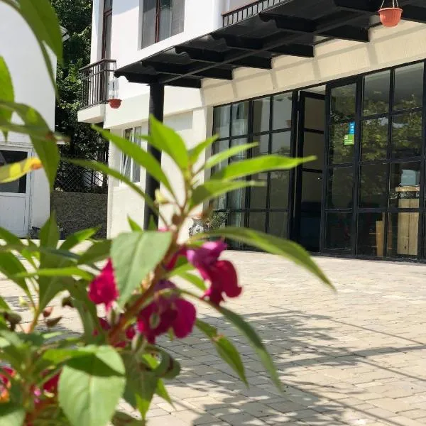 Smiths house，位于Surami的酒店