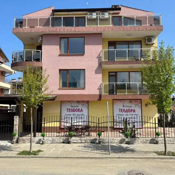 Къща за гости Теодора，位于茨雷沃的酒店