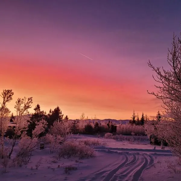 Thingvellir Lake Cottage，位于Veiðilundur的酒店