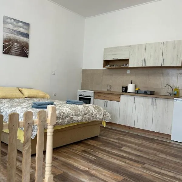 Apartman Pajić，位于Odžaci的酒店
