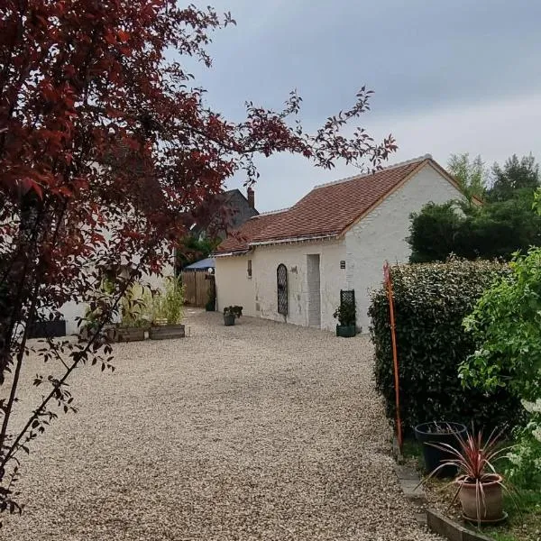 Les Gîtes Mina，位于莫讷的酒店