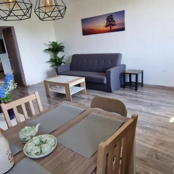 Chodov apartmán，位于布拉格的酒店