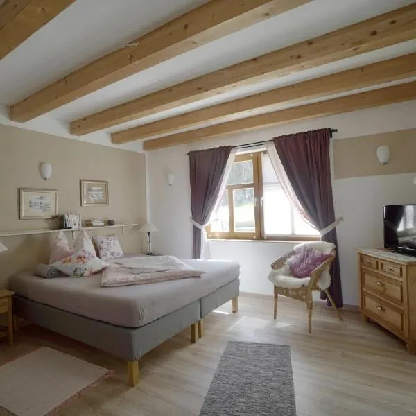 Landgut Seebühne - Aparthotel Steigerwald，位于Vestenbergsgreuth的酒店