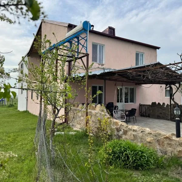 guesthouse gareji，位于Udabno的酒店