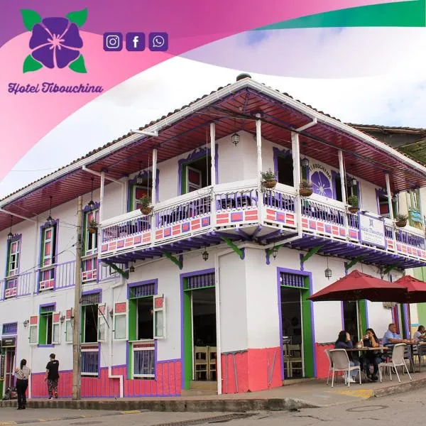Hotel Tibouchina，位于菲兰迪亚的酒店