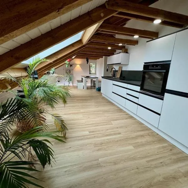 Ferienwohnung in Kitzingen，位于基青根的酒店