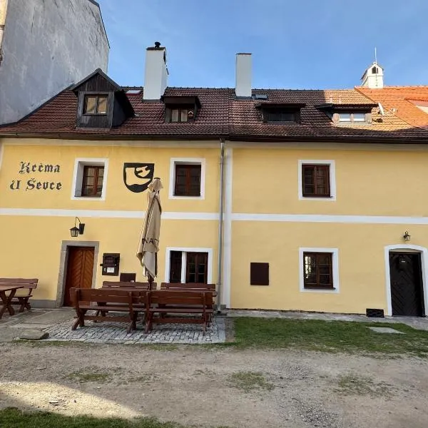 Penzion U Dvou koček，位于伏尔塔瓦河畔罗日姆贝克的酒店