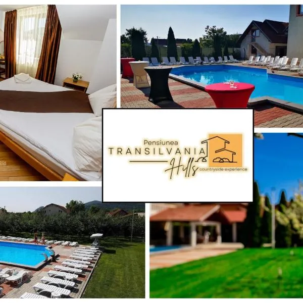 Transylvania Hills，位于Şoimuş的酒店