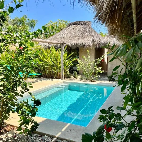 Casa Terra - Tropical Rustic Cabins with Pool，位于Paso Hondo的酒店