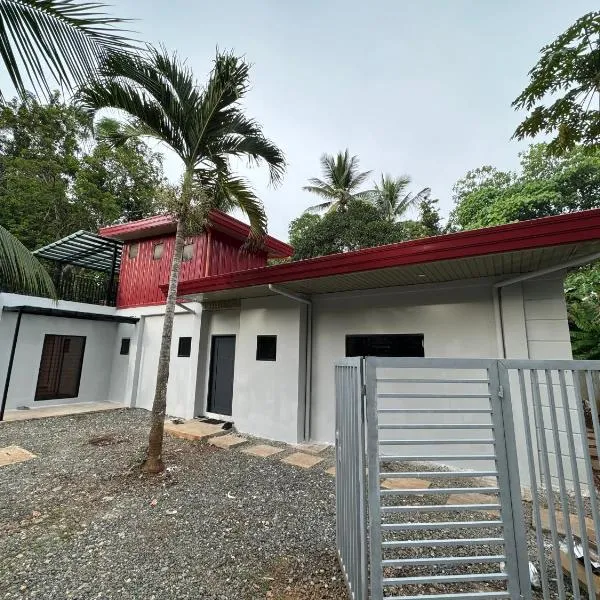 Balay ni Jethro，位于Quinawitnan的酒店