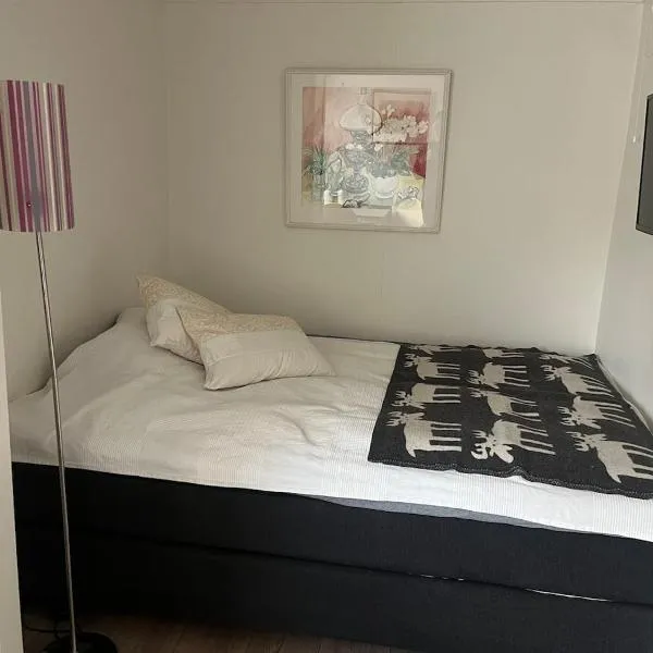 Leilighet i Lillehammer med gratis parkering，位于利勒哈默尔的酒店