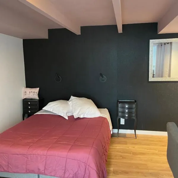 Beau studio confortable pour 2 personnes Studio Roz，位于Saint-Thurien的酒店