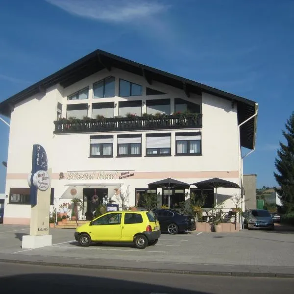 Bliestal Hotel，位于Rohrbach的酒店