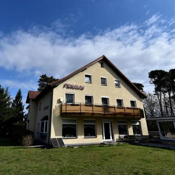 Pension Schwesinger，位于奥滕多夫-欧克里拉的酒店
