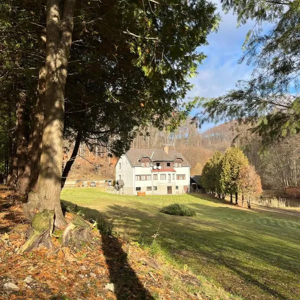 Pénzpataki Vadászház，位于Répáshuta的酒店