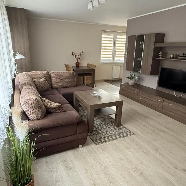 Apartament Rodzinny Zielone Tarasy，位于Skorka的酒店