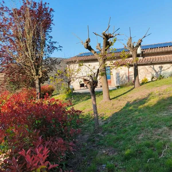 La Bottega di Torreluca，位于托迪的酒店