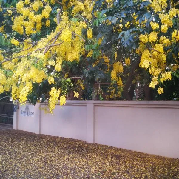 Tree Aloe Guest House，位于莫科帕内的酒店