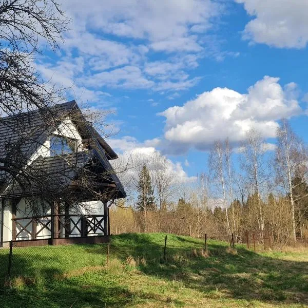 Dwerniczek 7 apartamenty，位于Dwerniczek的酒店