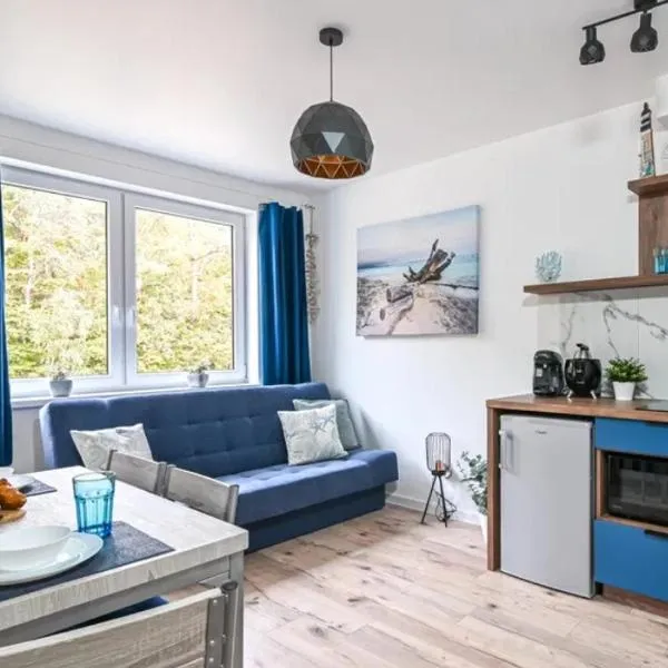 Blue apartment A, Dębina，位于Debina的酒店