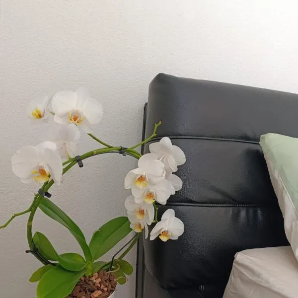 Ferienwohnung Mergel in Black Forest，位于Zell im Wiesental的酒店