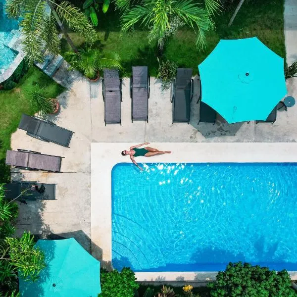 Wide Mouth Frog Quepos，位于曼努埃尔安东尼奥的酒店