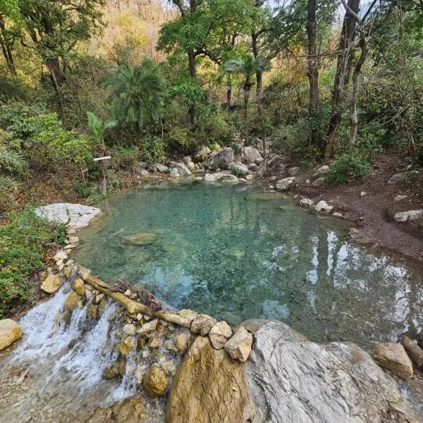 Tapovan Cascades Yogvillage Stay，位于瑞诗凯诗的酒店