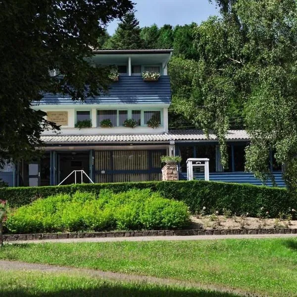Hotel Parc Les Cigognes，位于Albé的酒店