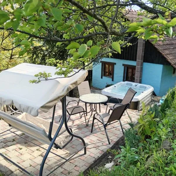 Wine Hill House Trsek，位于Vinagora的酒店