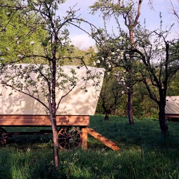 Glamping Tlaka，位于Gornji Grad的酒店