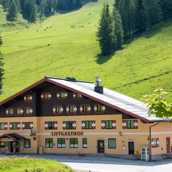 Liftgasthof Appartements，位于扎奥岑湖的酒店